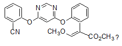 Карбендазим 50% WP сельскохозяйственный фунгицид для орхидей CAS 10605-21-7