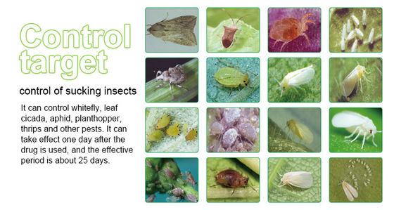 Imidacloprid 70% WP Natural Insecticide Powder CAS No 138261-41-3