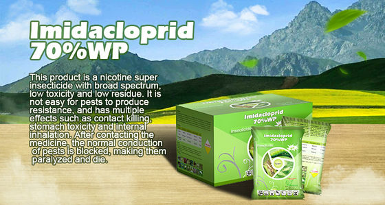 Imidacloprid 70% WP Natural Insecticide Powder CAS No 138261-41-3