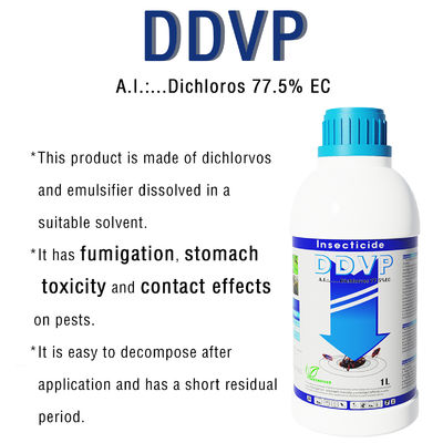 Dichlorvos 1000gl EC Organic Insecticide cas 62-73-7 Modern Pesticides