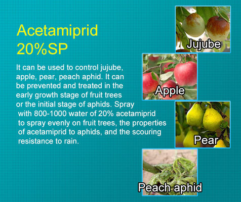 cas 135410-20-7 Acetamiprid 20%SP Organic Insecticide for leafy vegetables , citrus fruits