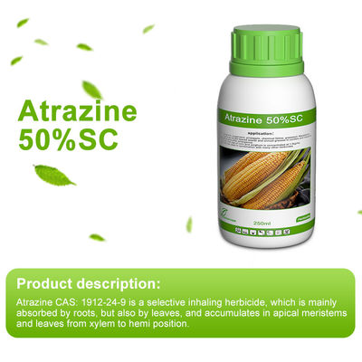 Atrazine 50%SC Selective triazine herbicide