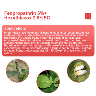 Hexythiazox 10%WP Non - systemic acaricide Agricultural Pesticides