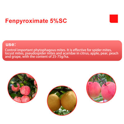 Acaricide Products Fenpyroximate 5%SC Environmentally Safe Pesticides