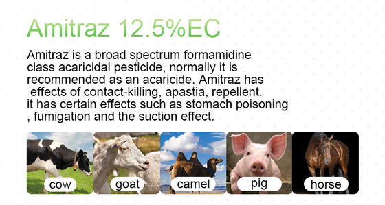 Professional  Amitraz 20%EC Non systemic Insecticide cas 33089-61-1