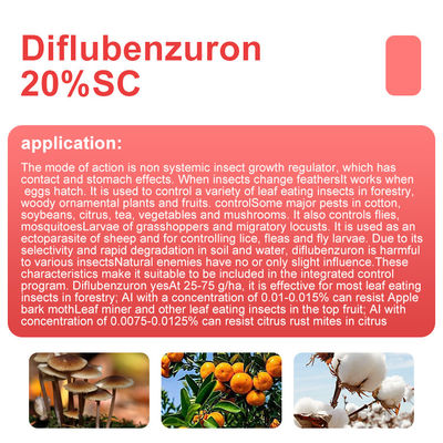 Professional Silverfish / Whitefly Insecticide Diafenthiuron 50%SC