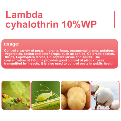 Ламбда цихалотрин 10% WP Инсектициды для борьбы с вредителями CAS 91465-08-6 поставщик 