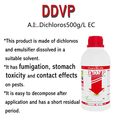 Dichlorvos household Systemic Insecticide For Aphids / caterpillars