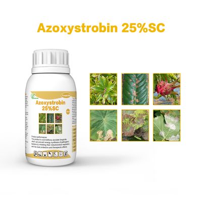 Azoxystrobin broad spectrum fungicide For Powdery Mildew CAS 131860-33-8