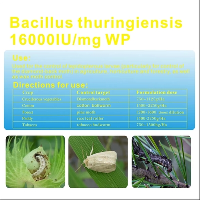 Bacillus subtilis порошок Биологические пестициды Инсектицид для бобовых, баклажанов поставщик 