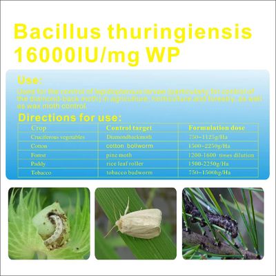 Bacillus subtilis powder Biological Pesticides Insecticide for legume , aubergines