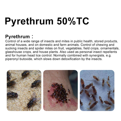 50% Tech Pyrethrum Инсектицид биологические пестициды CAS 8003-34-7 поставщик 