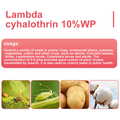 Lambda Cyhalothrin Insecticide for Aphids / Beetles / Thrips , CAS 91465-08-6