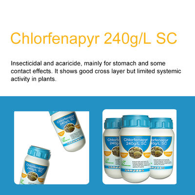 Chlorfenapyr 24%SC Chemical Pesticide carbamate / organophosphate insecticides