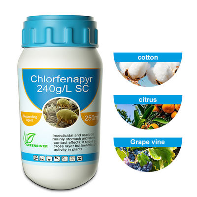 Chlorfenapyr 24%SC Chemical Pesticide carbamate / organophosphate insecticides