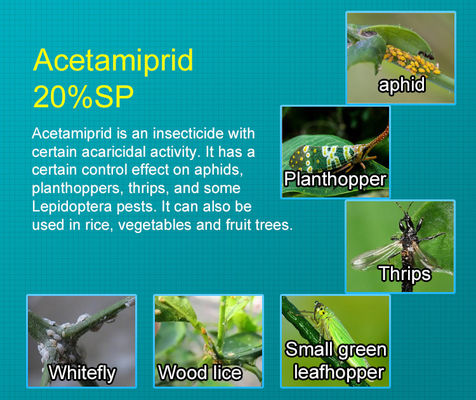 Acetamiprid 25%WP Insecticide Chemical Pesticide for aphids , CAS 135410-20-7