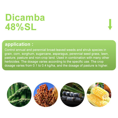 Dicamba / Triasulfuron Selective Herbicides cas 1918-00-9 / 82097-50-5