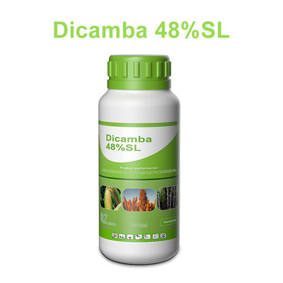 Dicamba / Triasulfuron Selective Herbicides cas 1918-00-9 / 82097-50-5