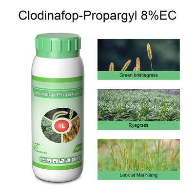 Professional Liquid Chemical Pesticide Post Emergence Herbicide