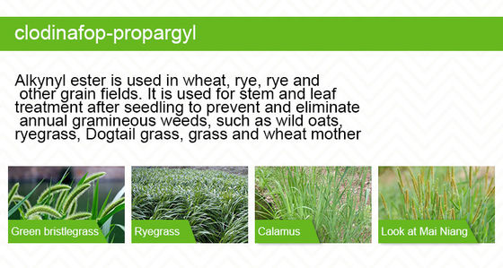 Clodinafop Propargyl herbicide 6%EC 105512-06-9 in Light Yellow Liquid