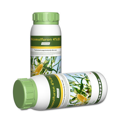 Nicosulfuron Selective Herbicides 111991-09-4 / post emergent weed killer