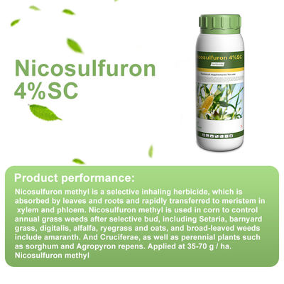 Nicosulfuron Selective Herbicides 111991-09-4 / post emergent weed killer