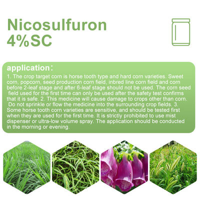 111991-09-4 Nicosulfuron post emergent herbicide for johnsongrass