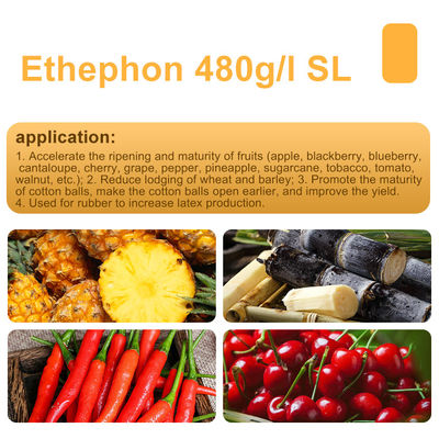 Ethephon 48%SL Tree Growth Regulators CAS 137-26-8