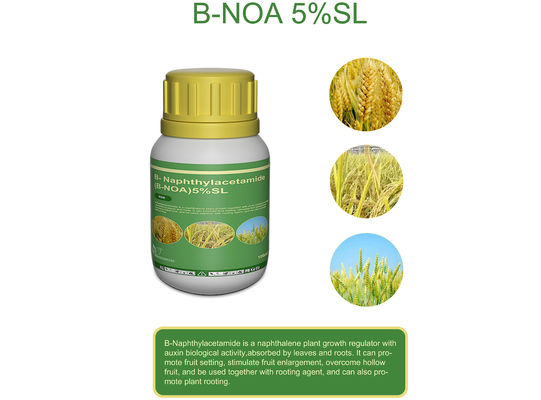 Beta naphthoxyacetic acid NOA B-NOA Plant Growth Regulators CAS 120-23-0
