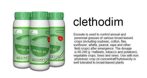 Clear / amber liquid Selective Herbicides Clethodim 24%EC for soya beans , flax