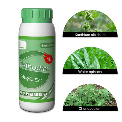 Clear / amber liquid Selective Herbicides Clethodim 24%EC for soya beans , flax