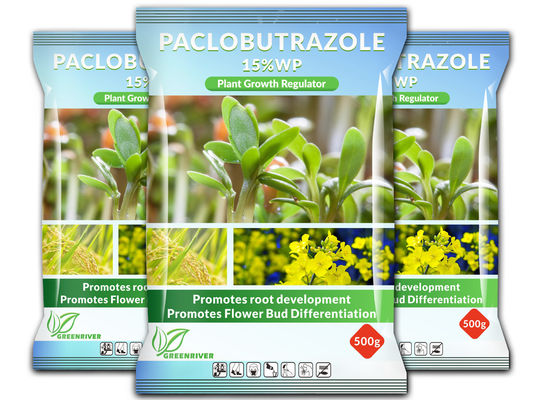 Professional Paclobutrazol Plant Growth Stimulator cas 76738-62-0