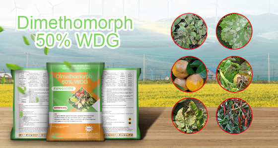 Белый порошок Химический пестицид Диметоморфный фунгицид 50%WP 110488-70-5 поставщик 