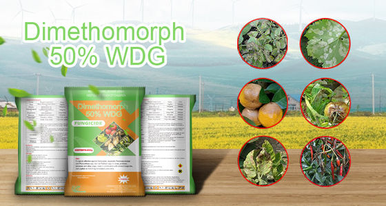 White powder Chemical Pesticide Dimethomorph Fungicide 50%WP 110488-70-5