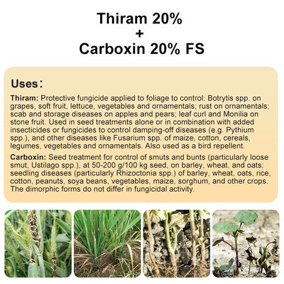 Tolclofos methyl ,Thiram contact Plant Fungicide 137-26-8 / 57018-04-9