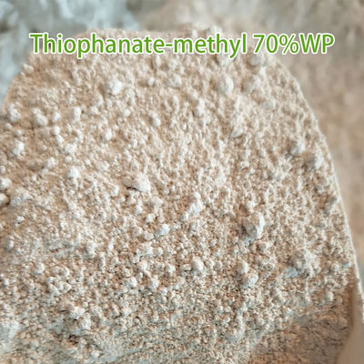White powder 36734-19-7 Thiophanate Methyl Plant Fungicide for apple trees
