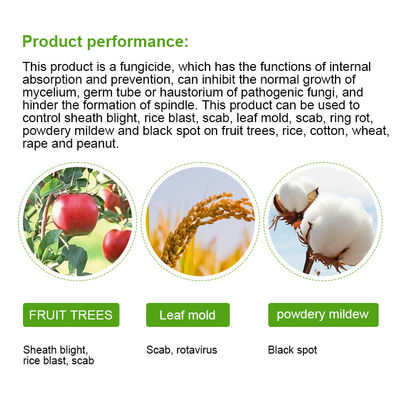 Thiophanate - Methyl 50%SC Systemic Fungicide For Tomato Plants 36734-19-7