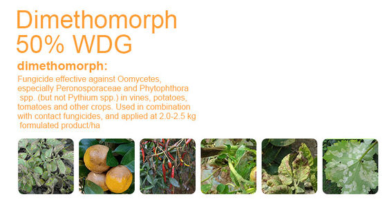 Dimethomorph 50%WP Chemical Fungicides Products 110488-70-5