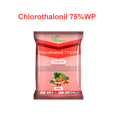Хлороталонил 75%WP овощи Фунгицид растений CAS 1897-45-6 поставщик 