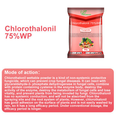 Chlorothalonil 75%WP vegetables Plant Fungicide CAS 1897-45-6