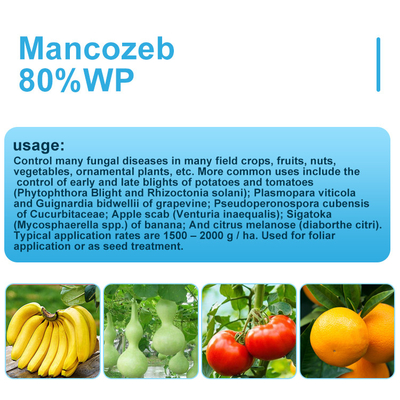 Грибковые заболевания Манкозеб 80% WP контактный фунгицид CAS 8018-01-7 поставщик 
