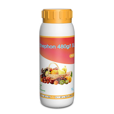 Ethephon 90%Tech Plant Growth Regulators In Horticulture cas 137-26-8