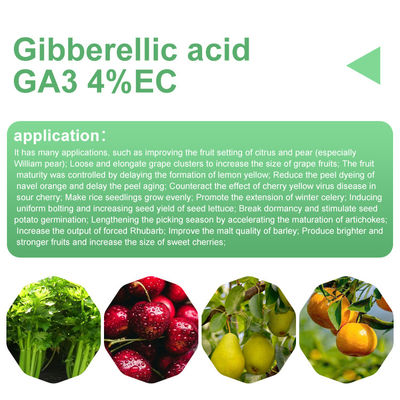 Gibberellic Acid GA3 4%EC Plant Growth Regulators CAS 77-06-5