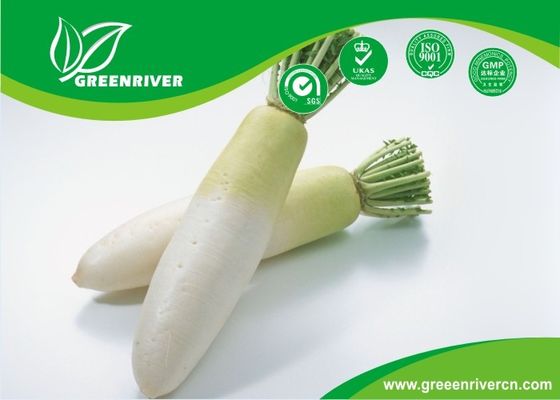 Short leaf watermelon radish seeds in White cylindrical Shape