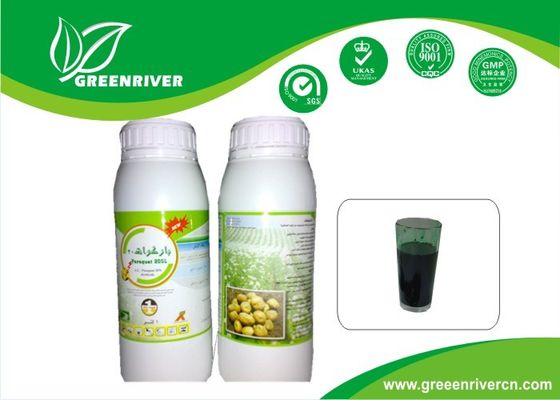 Paraquat 20%%SL Weed Control Herbicides